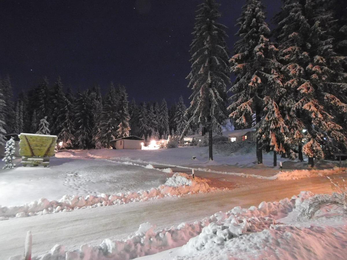 פראונוואלד Waldhotel Rennsteighoehe מראה חיצוני תמונה